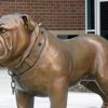 Manufacturer Supplies Small Bronze Pug Dog Statue for Decoration BOKK-308