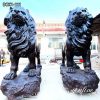 Bronze Lion Statue Details